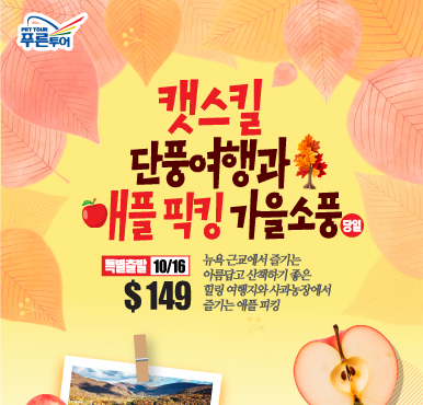 가을의 뉴욕 여행, 단풍도 보고 사과도 따고