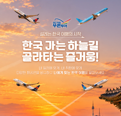 한국행 비행기, 아무거나 타실 건 아니죠?