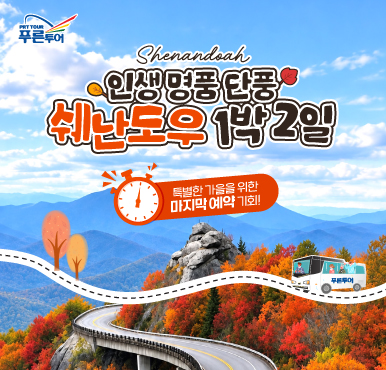 가을 막차 탑니다! 10/24 출발 쉐난도우 1박2일